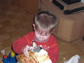 mein sohn lukas 51900851