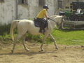 Reitwocha2007....und oandane Pferdln 48537536