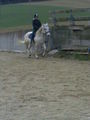 Reitwocha2007....und oandane Pferdln 50606521