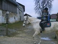 Reitwocha2007....und oandane Pferdln 50606824