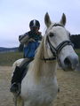 Reitwocha2007....und oandane Pferdln 50606986