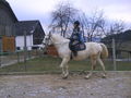 Reitwocha2007....und oandane Pferdln 50607009