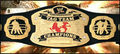 WWE Championships 39358889