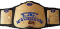 WWE Championships 39358890