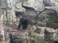 Tierpark Schmiding 47158584