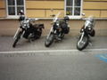 Harley - Treffen Bad Hall 01.05.09 58656029