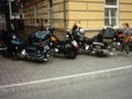 Harley - Treffen Bad Hall 01.05.09 58656069