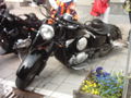 Harley - Treffen Bad Hall 01.05.09 58656110