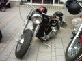 Harley - Treffen Bad Hall 01.05.09 58656123