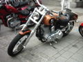 Harley - Treffen Bad Hall 01.05.09 58656136