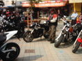 Harley - Treffen Bad Hall 01.05.09 58656273