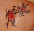 Tattoo   Piercing 10673046