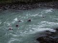 Fließwasser Rettungsschwimmer Ausbildung 40147545