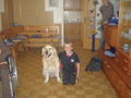 mein lieber hund und freund max!!!!!!!!! 39619129