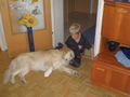 mein lieber hund und freund max!!!!!!!!! 39619131