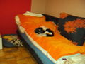 mein lieber hund und freund max!!!!!!!!! 72802591