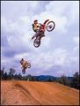 Motocross 39794122