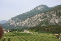 Sardinien Bike Tour 2008 44541170