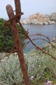 Sardinien Bike Tour 2008 44542191