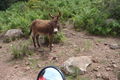 Sardinien Bike Tour 2008 44544810