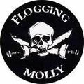 Flogging Molly 41703124