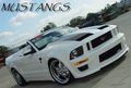 Ford Mustang 45640440