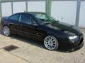 Calibra´s 48643400