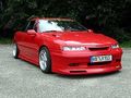 Calibra´s 48643414