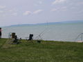 Fischen am Balaton 59461369