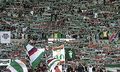 Rapid Wien 66069760