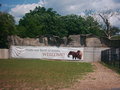 The Maryland Zoo 20050812