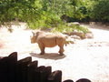 The Maryland Zoo 20050830