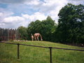 The Maryland Zoo 20050835