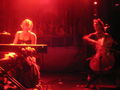 AMANDA PALMER IN WIEN!! 47547996