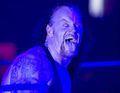 Undertaker 50214775