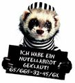 coole tiere 50283766