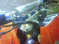  older pics (My Moped) 40394514