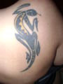 My Tattoos 53463696