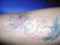 My Tattoos 53463705