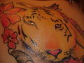 My Tattoos 75531717