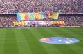 FCB Camp Nou 59383987