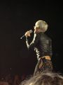 •.?P!NK-Konzert?.•  56631068