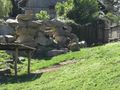 Tierpark Herberstein - Urlaub 44246732