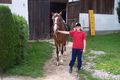 Reiten 2008 42215434