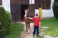 Reiten 2008 42215467