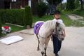 Reiten 2008 42215497