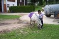 Reiten 2008 42215619