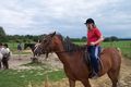 Reiten 2008 42215690