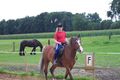 Reiten 2008 42215717