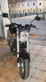 Dodos Moped 53016853